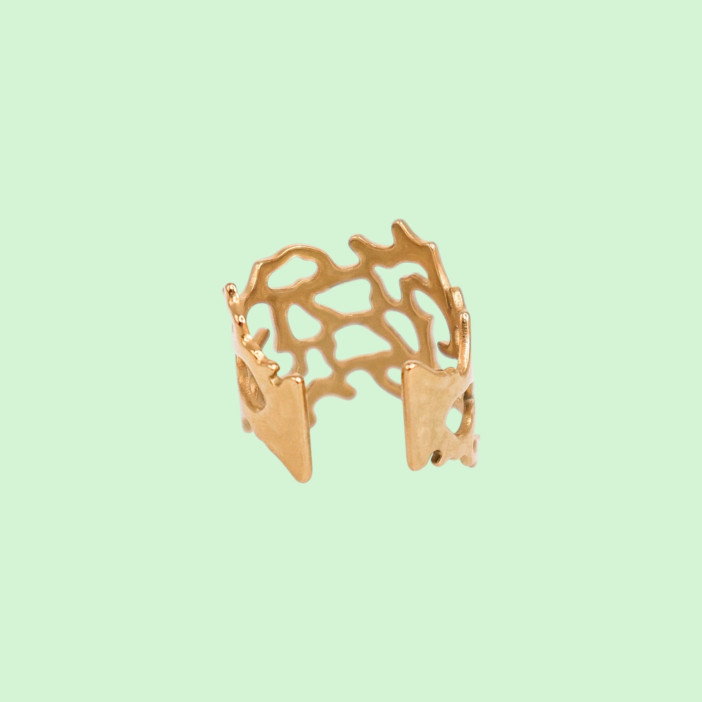 Gold openwork ring on a light green background