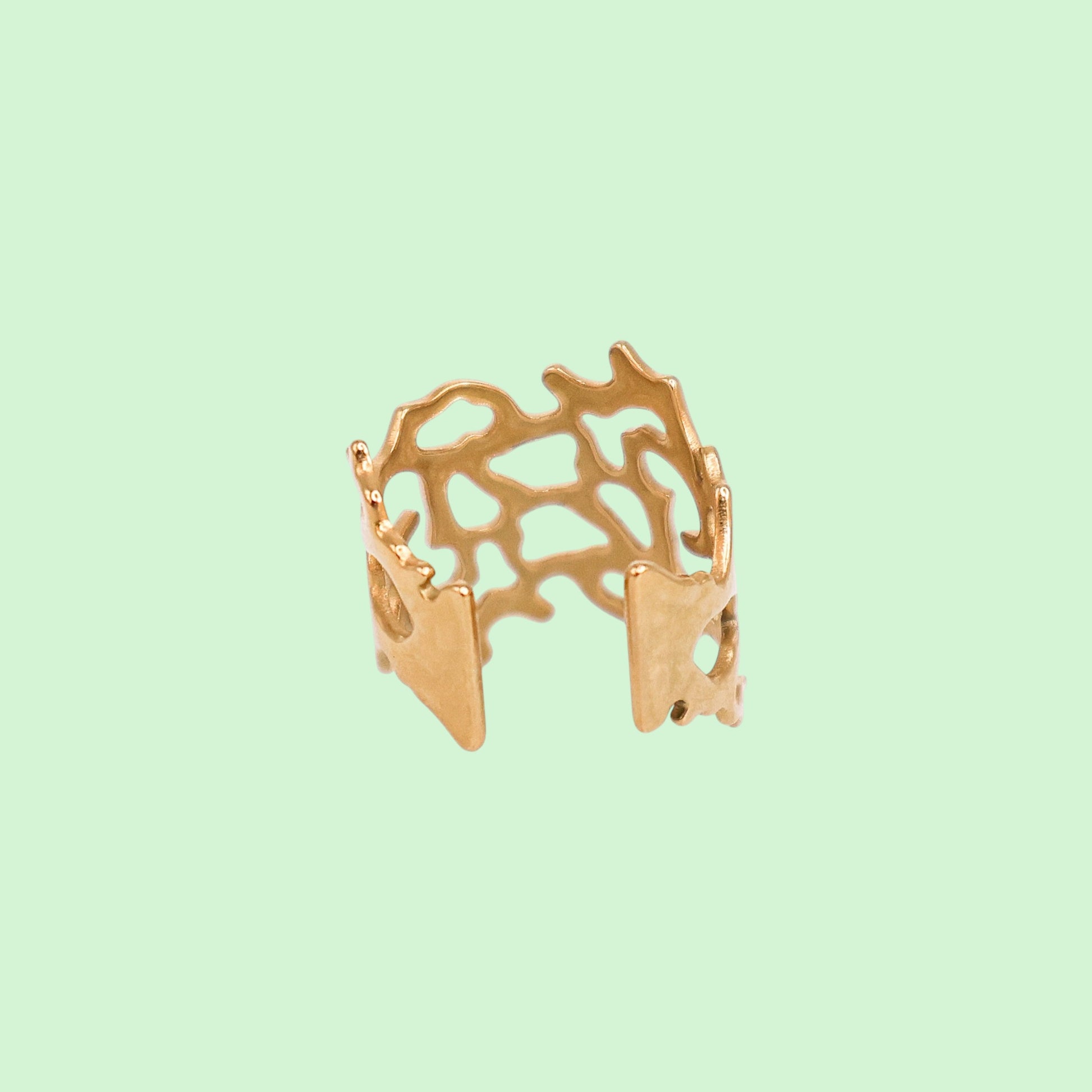 Gold openwork ring on a light green background