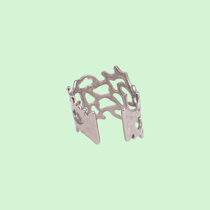 Silver ring on a light green background
